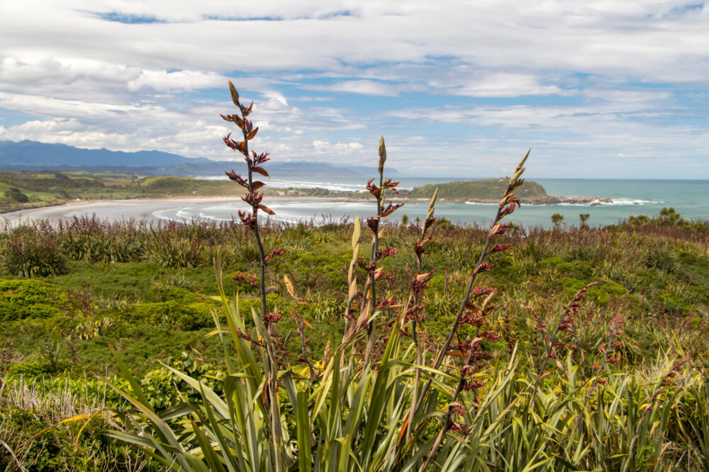 Westport & Buller District